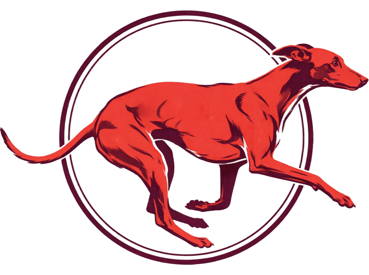 greyhoundderbyodds.com