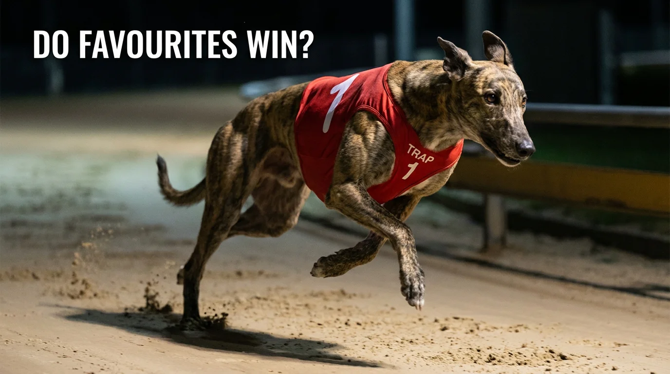 Greyhound wearing a red racing jacket leading the pack on a sand track